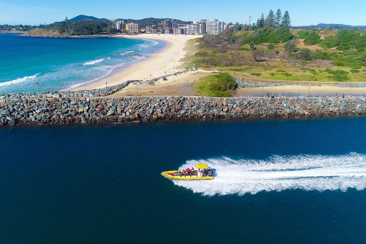 Dolphin watch ocean adventure - Forster luxury tours - NSW